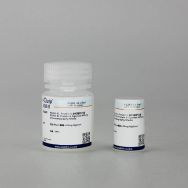 芯硅谷® P5281 Protein G 亲和层析介质