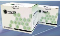 华瑞安人冠状病毒（HCoV-2019）核酸检测试剂盒（PCR-荧光法）