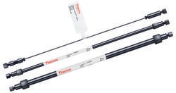 Dionex™ IonPac™ AS18-4µm 毛细管离子色谱柱、分析柱和保护柱