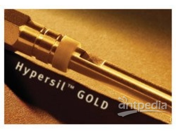 Hypersil Gold™ Cyano LC 色谱柱
