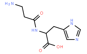 <em>核糖核酸酶</em>（牛胰）