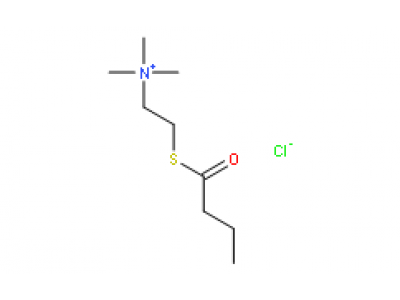 Ethanaminium,N,N,N-trimethyl-2-[(1-oxobutyl)thio]-, chloride (1:1)
