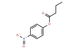 4-Nitrophenyl <em>butyrate</em>