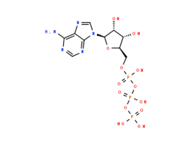 5’- 三磷酸腺苷二钠