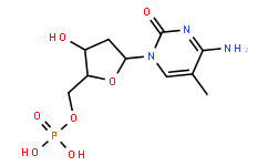<em>5</em>-甲基脱氧<em>胞苷酸</em>