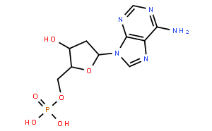 <em>2</em>′-<em>脱氧腺苷</em>-5′-单磷酸
