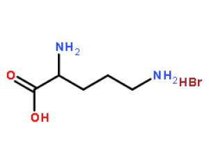POLY-L-ORNITHINE HYDROBROMIDE