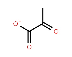 丙酮酸激酶