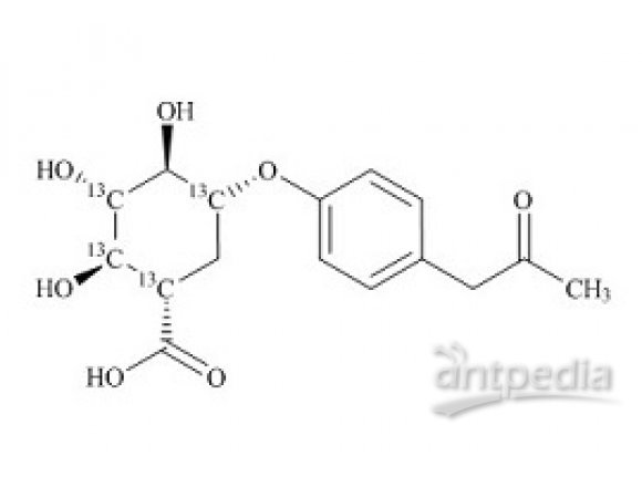 PUNYW11261319 Acetamidophen glucuronide-13C6