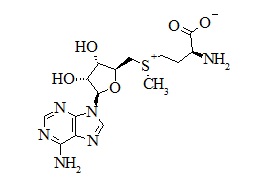 PUNYW13685488 (<em>S</em>,<em>S</em>)-<em>Adenosyl-L-Methionine</em>