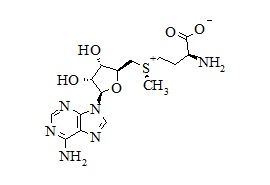 PUNYW13686550 (R,<em>S</em>)-<em>Adenosyl-L</em>-Methionine