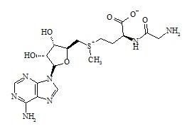 PUNYW13704169 Adenosine <em>Related</em> <em>Compound</em> <em>1</em>