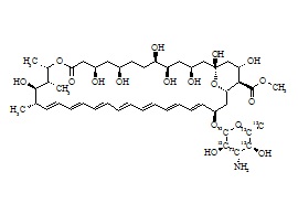 <em>PUNYW23543111</em> <em>Amphotericin</em> <em>B</em>-13C6 <em>Methyl</em> <em>Ester</em>