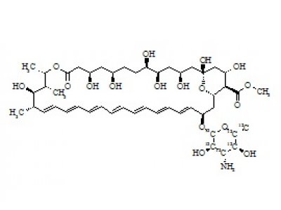 PUNYW23543111 Amphotericin B-13C6 Methyl Ester