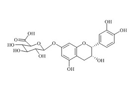 <em>PUNYW23330211</em> (-)-<em>Epicatechin-7-beta-D-Glucuronide</em>