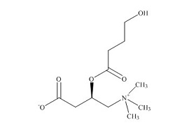 PUNYW21754171 4-Hydroxybutyryl-<em>L-Carnitine</em>