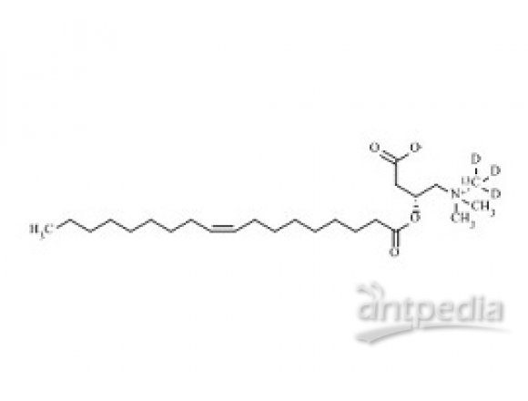 PUNYW21734343 Oleoyl-L-Carnitine-13C-d3