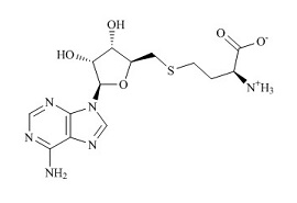 <em>PUNYW4991385</em> <em>S-Adenosyl-L-Homocysteine</em>