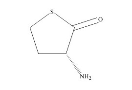 PUNYW4954579 D-<em>Homocysteine</em> <em>Thiolactone</em>