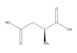 <em>PUNYW5081479</em> <em>L-Cysteine</em> <em>sulfinic</em> <em>acid</em> <em>1</em>