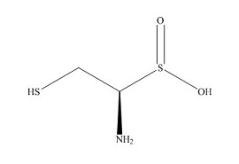 PUNYW5084376 <em>L-Cysteine</em> <em>sulfinic</em> <em>acid</em> 2