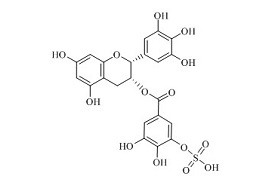 <em>PUNYW19226260</em> (-)-<em>Epigallocatechin</em> <em>Gallate</em> <em>Sulfate</em> A