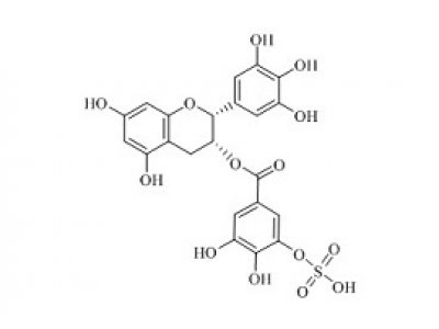 PUNYW19226260 (-)-Epigallocatechin Gallate Sulfate A