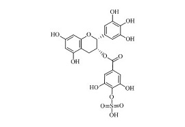 <em>PUNYW19228175</em> (-)-<em>Epigallocatechin</em> <em>Gallate</em> <em>Sulfate</em> <em>B</em>