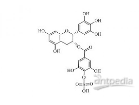 PUNYW19228175 (-)-Epigallocatechin Gallate Sulfate B