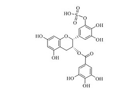 <em>PUNYW19229160</em> (-)-<em>Epigallocatechin</em> <em>Gallate</em> <em>Sulfate</em> <em>C</em>