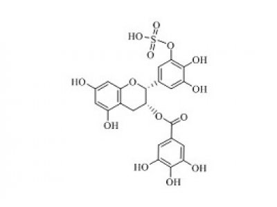 PUNYW19229160 (-)-Epigallocatechin Gallate Sulfate C