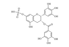 PUNYW19230548 (-)-<em>Epigallocatechin</em> <em>Gallate</em> Sulfate <em>D</em>