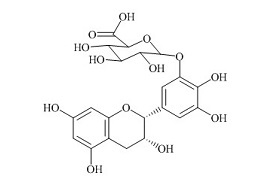<em>PUNYW19232186</em> (-)-<em>Epigallocatechin-beta-D-Glucuronide</em> A
