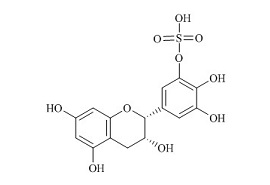 PUNYW19234355 (-)-<em>Epigallocatechin</em> <em>Sulfate</em> A