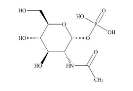 <em>PUNYW23929394</em> <em>N-Acetyl-alfa-D-Glucosamine-1-Phosphate</em>