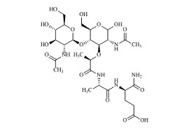 <em>PUNYW11214561</em> <em>N-Acetyl-beta-D-Glucosaminyl-N-Acetylmuramyl-L-Alanyl-D-Isoglutamine</em>