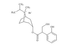 PUNYW19349520 2-Hydroxy <em>Ipratropium</em> <em>Bromide</em>