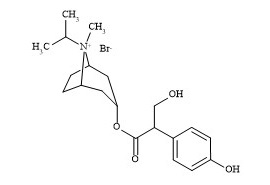 PUNYW19355102 4-<em>Hydroxy</em> <em>Ipratropium</em> <em>Bromide</em>