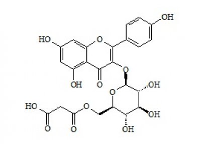 PUNYW25434191 Kaempferol-3-O-(6-Malonyl-Glucoside)