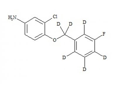 PUNYW15135362 Lapatinib Impurity-d6