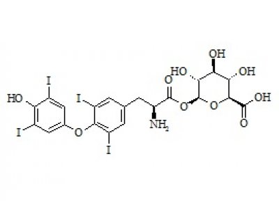 PUNYW6423421 Levothyroxine acyl glucuronide