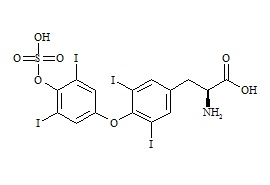 <em>PUNYW6426558</em> <em>Levothyroxine</em> <em>sulfate</em>