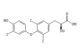 <em>PUNYW6499394</em> <em>Levothyroxine</em> <em>Impurity</em> <em>19</em>