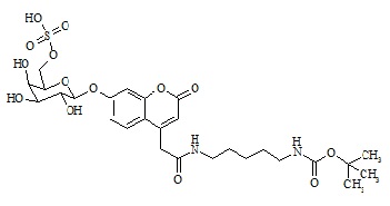 PUNYW13803367 Mucopolysaccharidosis Type <em>IV</em> Related Compound MPS-<em>IV</em>-1 (GALNS-S)