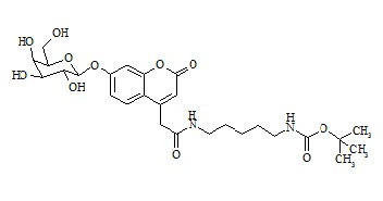 PUNYW13804492 Mucopolysaccharidosis Type <em>IV</em> Related Compound MPS-<em>IV</em>-2 (GALNS-P)