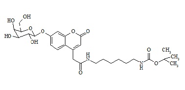 PUNYW13805107 Mucopolysaccharidosis Type <em>IV</em> Related Compound MPS-<em>IV</em>-3 (GALNS-IS)