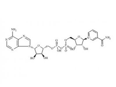 PUNYW5179486 Nicotinamide Adenine Dinucleotide