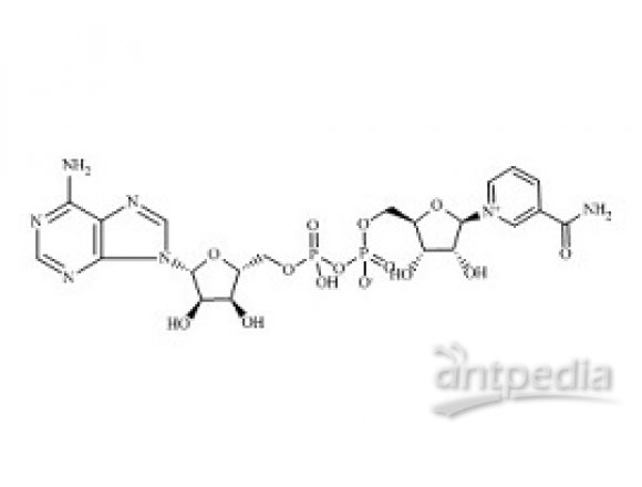 PUNYW5179486 Nicotinamide Adenine Dinucleotide