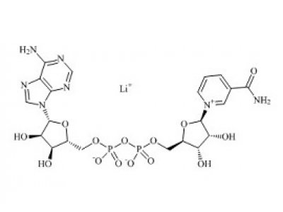 PUNYW5191347 Nicotinamide Adenine Dinucleotide Lithium Salt