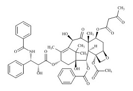 PUNYW7858432 10-O-Deacetyl-<em>7</em>-Acetoacetyl <em>Paclitaxel</em>